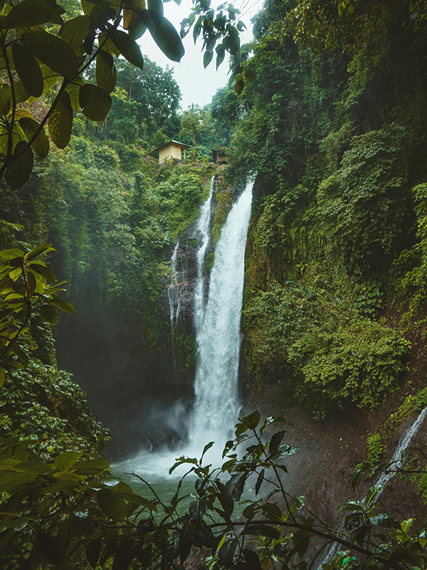 Waterfall surrounded by lush tropical rainforest in Sukasada Bali Indonesia